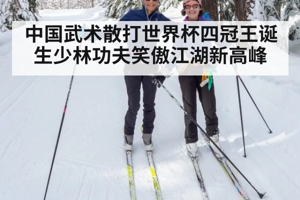 中国武术散打世界杯四冠王诞生少林功夫笑傲江湖新高峰