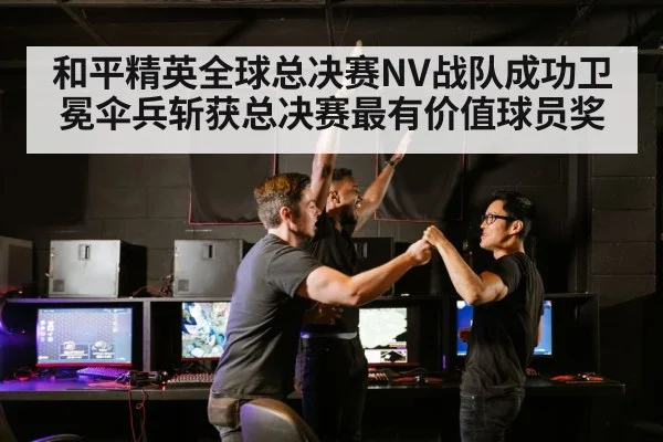 和平精英全球总决赛NV战队成功卫冕伞兵斩获总决赛最有价值球员奖