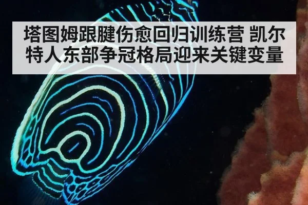 塔图姆跟腱伤愈回归训练营 凯尔特人东部争冠格局迎来关键变量